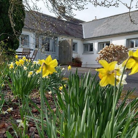 Dinefwr Cottage Carmarthen Bagian luar foto