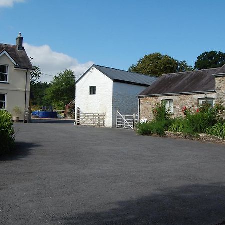 Dinefwr Cottage Carmarthen Bagian luar foto