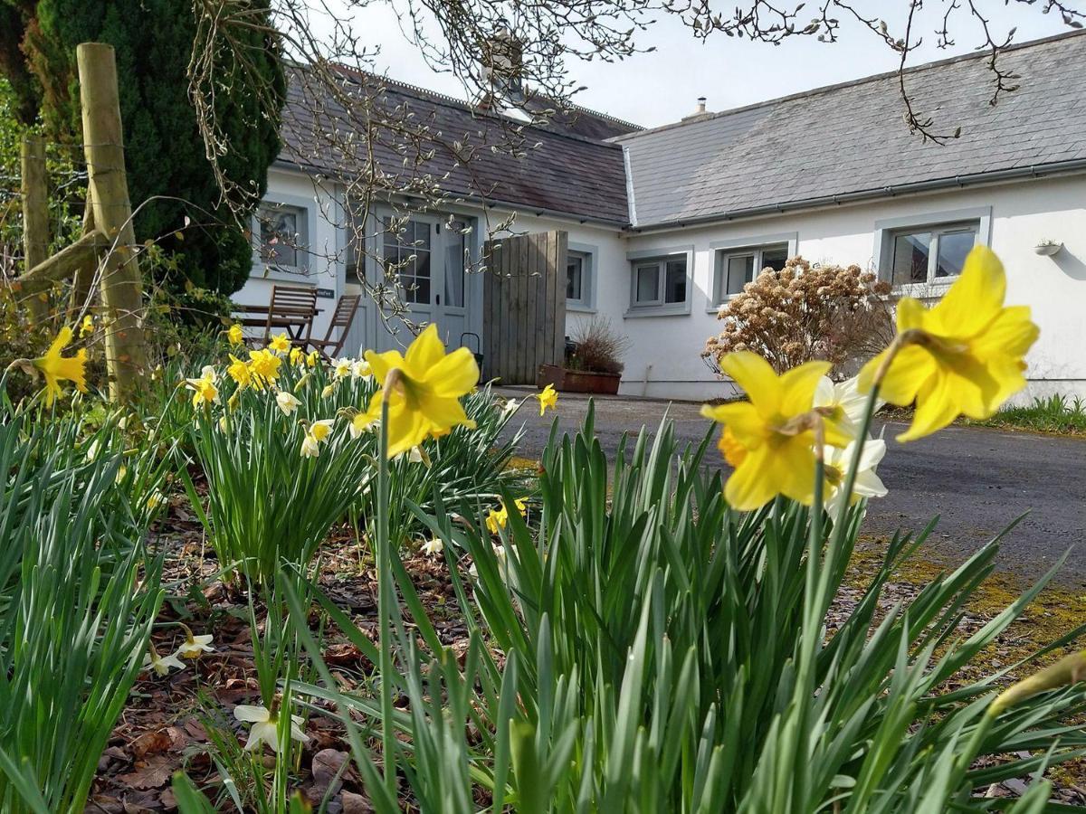 Dinefwr Cottage Carmarthen Bagian luar foto