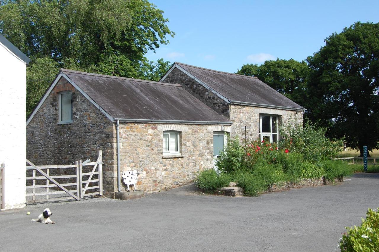 Dinefwr Cottage Carmarthen Bagian luar foto