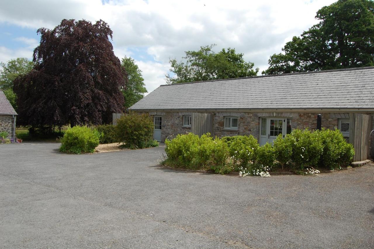 Dinefwr Cottage Carmarthen Bagian luar foto